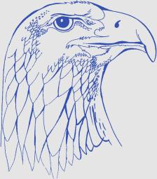Logo van Scouting Aerendheem