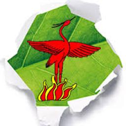 Logo van Scouting Phoenix Tiel