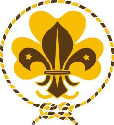 Logo van Scouting Hamaland